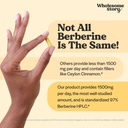 berberine-supplement-1500mg-berberine-50-5.jpg