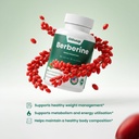 gl-uup-berberine-supplement-800mg-60-cap-2.jpg