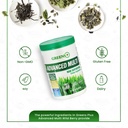 greens-advanced-multi-raw-superfood-powd-4.jpg