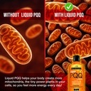 super-pqq-liquid-highly-absorbable-pyrro-6.jpg