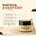 himalayan-shilajit-resin-80-fulvic-acid--2.jpg