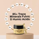 himalayan-shilajit-resin-80-fulvic-acid--5.jpg
