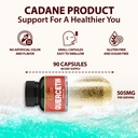 organic-cadane-quercetin-extract-capsule-2.jpg