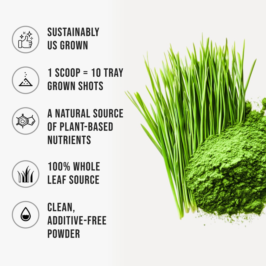 wheatgrass-powder-100-pure-whole-leaf-wh-3.jpg