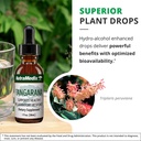 nutramedix-tangarana-drops-palo-santo-tr-5.jpg