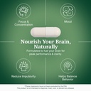 addivance-focus-concentration-and-memory-5.jpg