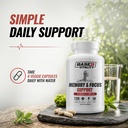 memory-capsules-for-daily-routine-memory-4.jpg