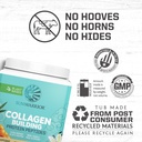 chocolate-vanilla-vegan-collagen-protein-4.jpg