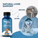hepatic-liver-support-for-dogs-dissolvab-3.jpg