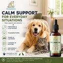 hemp-oil-for-dogs-cats-calming-support-d-4.jpg