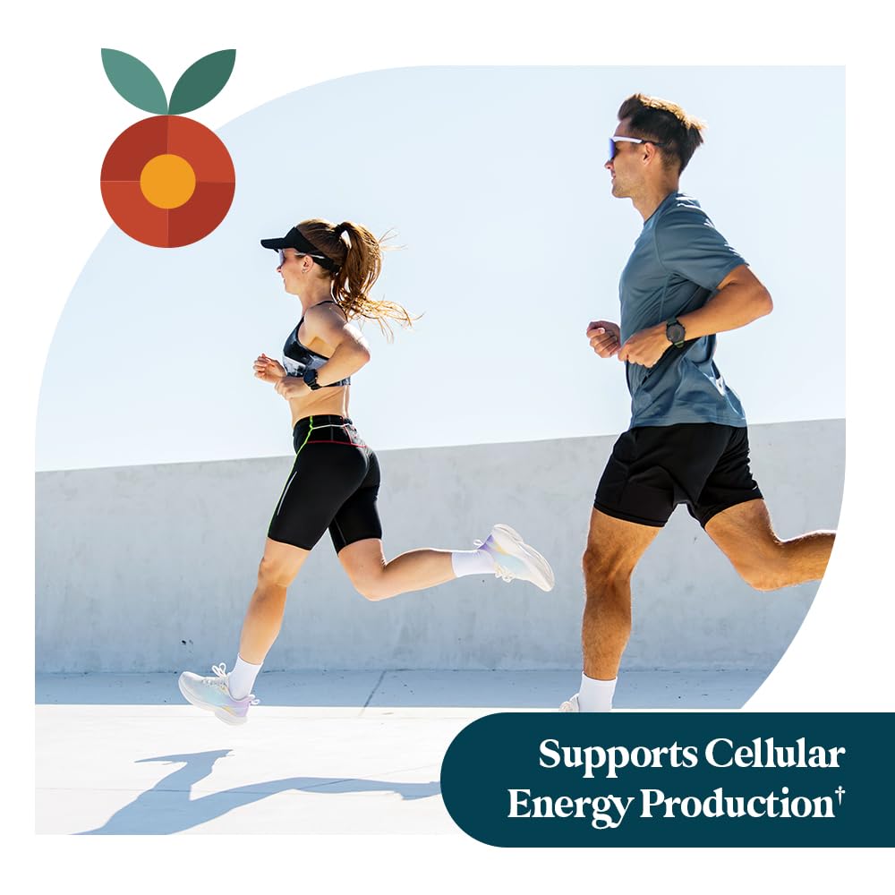 pattern-wellness-acetyl-l-carnitine-500--4.jpg
