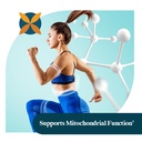 pattern-wellness-acetyl-l-carnitine-500--6.jpg