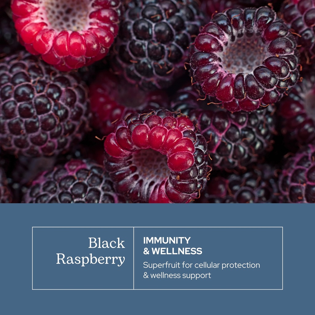 eclectic-herb-black-raspberry-capsules-v-3.jpg
