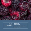 eclectic-herb-black-raspberry-capsules-v-3.jpg