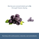 eclectic-herb-black-raspberry-capsules-v-6.jpg