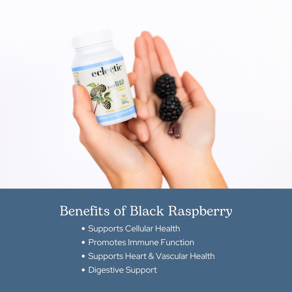 eclectic-herb-black-raspberry-capsules-v-4.jpg