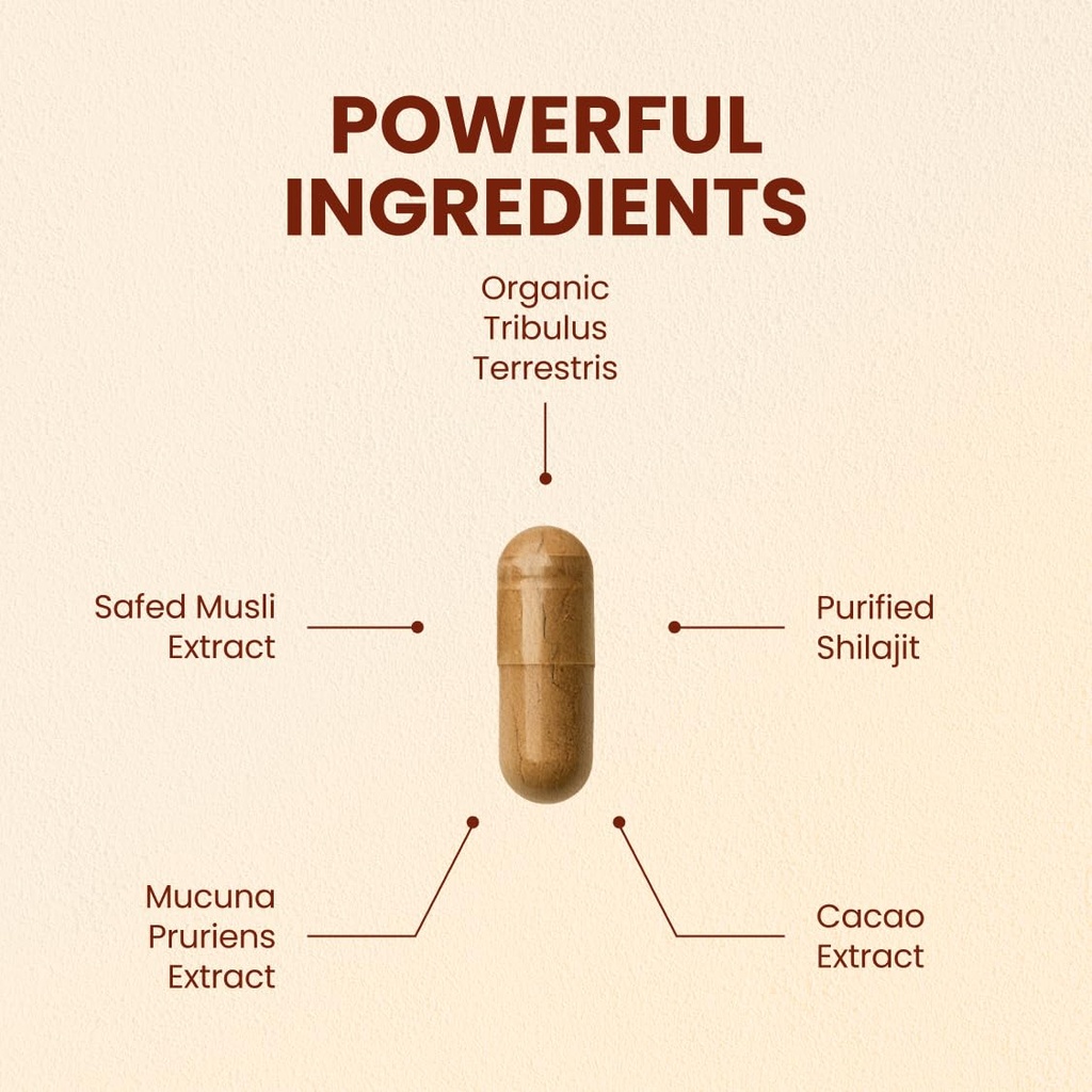 choq-daily-with-500mg-purified-shilajit--2.jpg