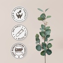 dandelion-root-alcohol-free-natural-tinc-4.jpg