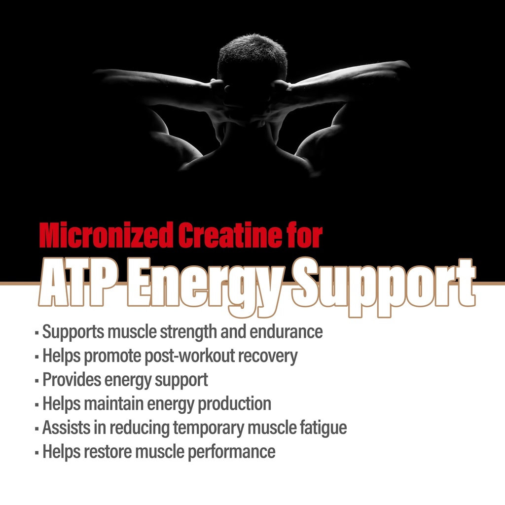 creatine-monohydrate-500g-marine-collage-3.jpg