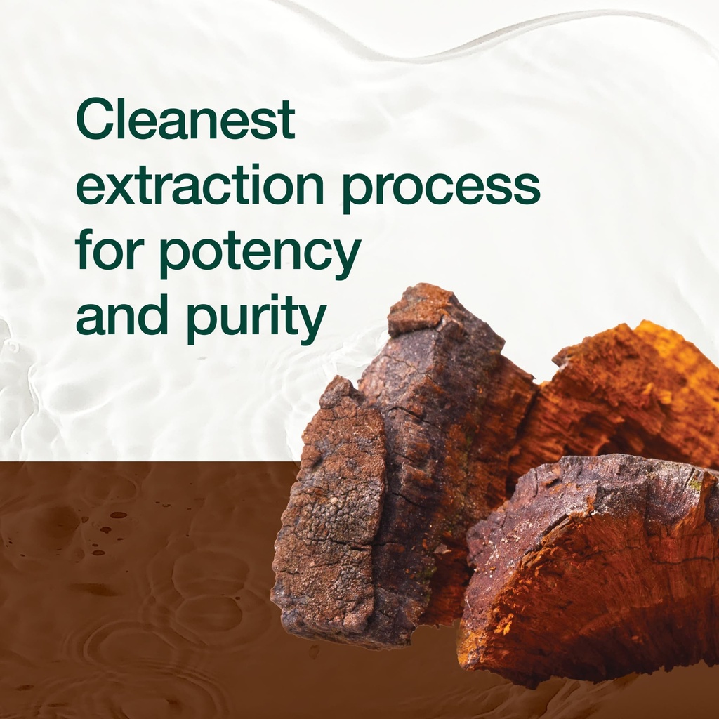 organic-chaga-mushrooms-strongest-dna-ve-6.jpg