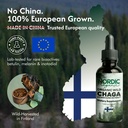 chaga-organic-mushroom-extract-next-gen--2.jpg