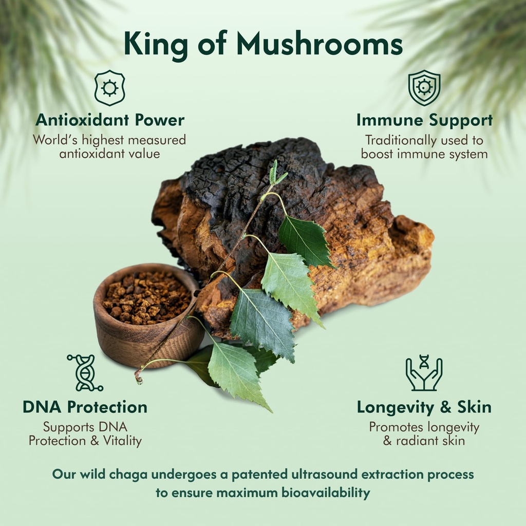 chaga-organic-mushroom-extract-next-gen--3.jpg