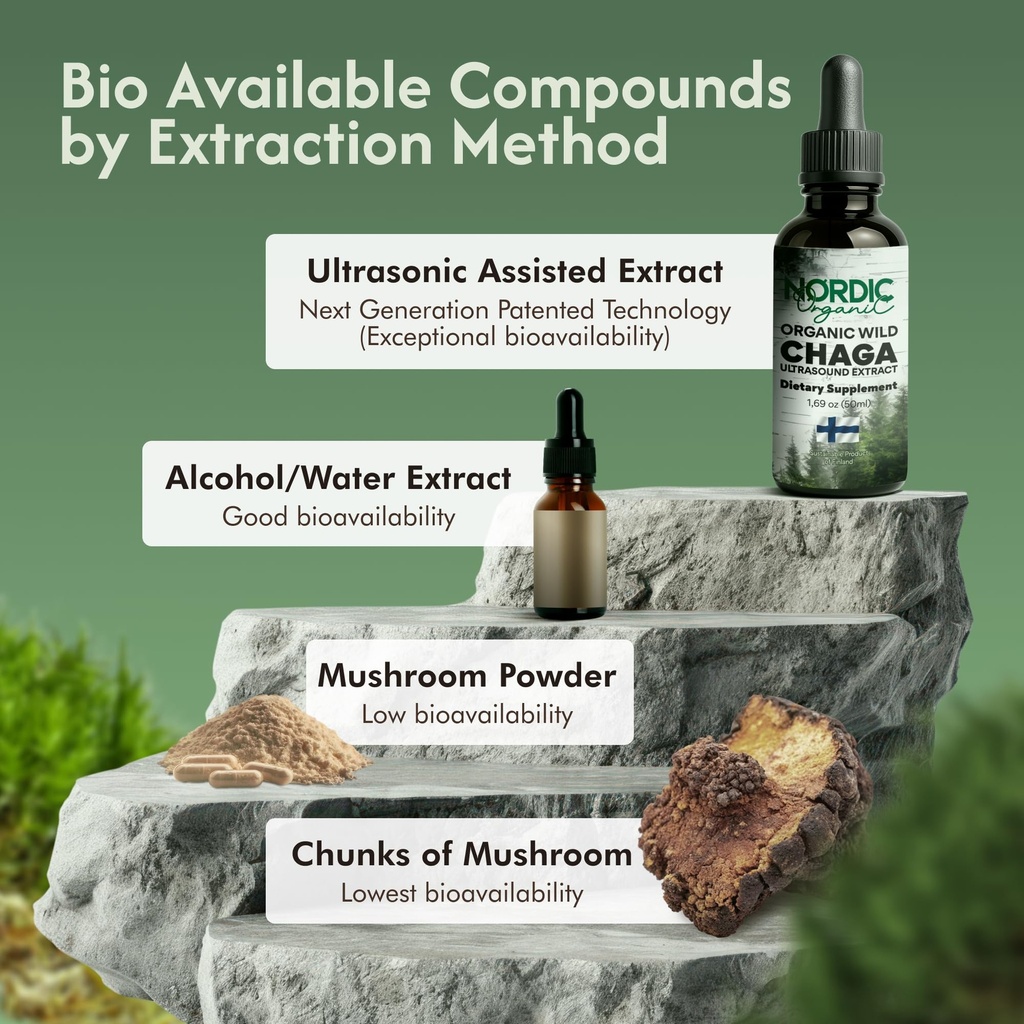 chaga-organic-mushroom-extract-next-gen--4.jpg