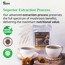 siberian-wild-forest-chaga-mushroom-extr-6.jpg