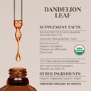dandelion-leaf-usda-organic-alcohol-free-3.jpg