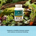 ancient-nutrition-regenerative-organic-c-3.jpg