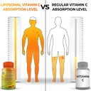 antioxidant-immune-support-bundle-with-o-5.jpg