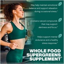 green-super-food-powder-7-2-oz-natural-b-6.jpg
