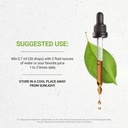 secrets-of-the-tribe-artichoke-tincture--3.jpg