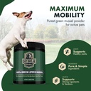 pure-green-lipped-mussel-powder-for-dogs-2.jpg