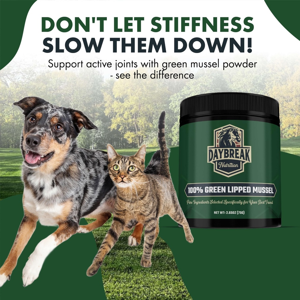 pure-green-lipped-mussel-powder-for-dogs-4.jpg