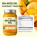 sea-moss-gel-mango-pineapple-18-5-oz-iri-2.jpg