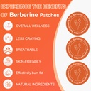 glplus-1-berberine-patches-with-l-glutam-2.jpg