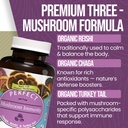 perfect-supplements-mushroom-immunity-90-3.jpg