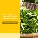 natural-factors-3-brains-higher-thoughts-5.jpg
