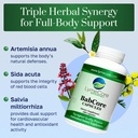 lymecore-babcore-capsules-triple-herb-bl-3.jpg