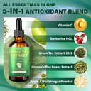 green-tea-20-1-extract-50-egcg-natural-w-3.jpg