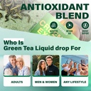 green-tea-20-1-extract-50-egcg-natural-w-5.jpg