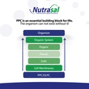 nutrasal-phoschol-ppc-polyenyl-phosphati-4.jpg