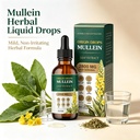 origindrops-mullein-drops-for-lungs-clea-3.jpg