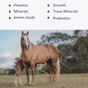 mare-foal-ii-p-10lb-balanced-multi-vitam-2.jpg