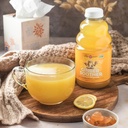 ginger-soother-turmeric-gingerade-soothi-4.jpg
