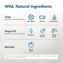 north-american-herb-spice-chag-o-power-2-3.jpg