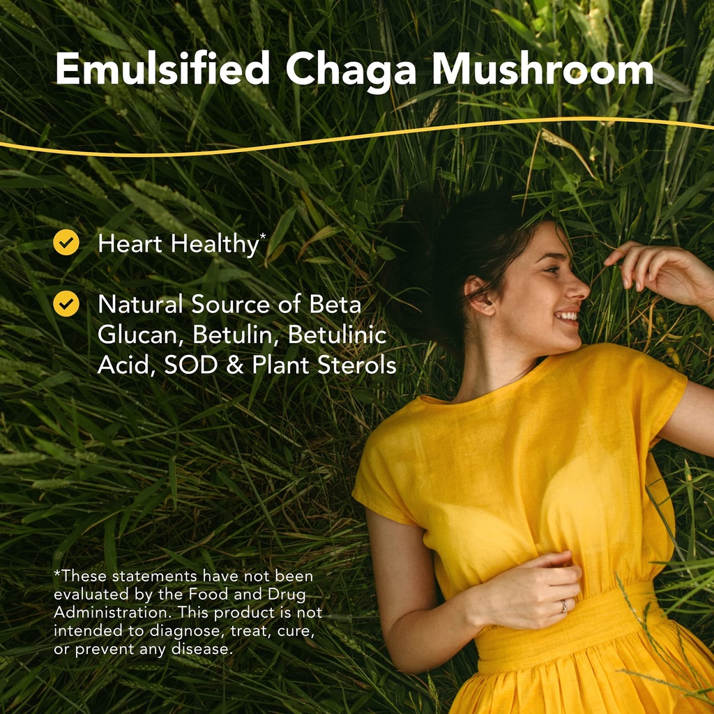north-american-herb-spice-chag-o-power-2-2.jpg