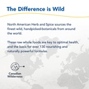 north-american-herb-spice-chag-o-power-2-6.jpg