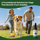 vitamin-e-for-dogs-liquid-vitamin-e-oil--4.jpg